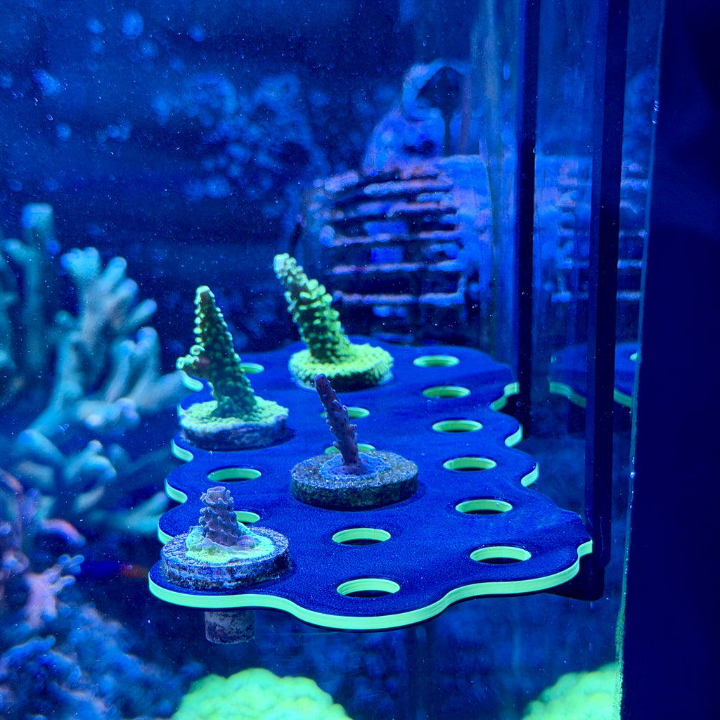 Hang-On Coral Frag Rack