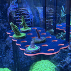 Hang-On Coral Frag Rack - 3Dreefing-Solutions