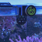 Frozen Food Feeder for Reef Aquariums